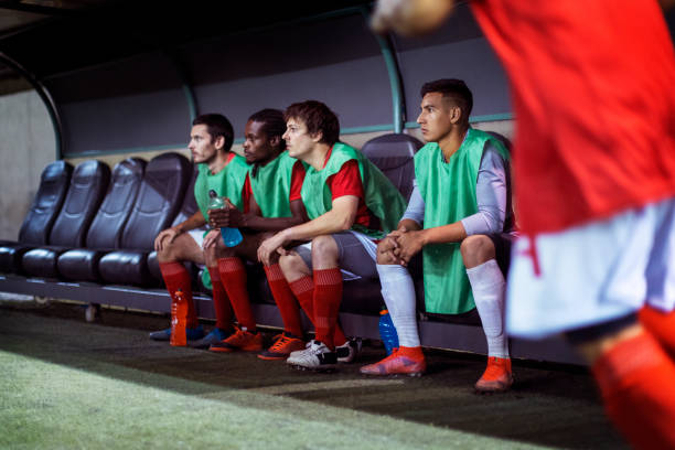 欣赏丰富的 欣赏丰富的