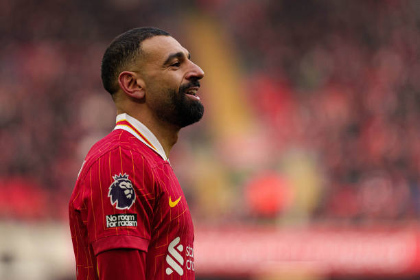 坚韧个性的 坚韧个性的