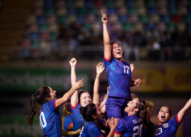 迷的目光 迷的目光