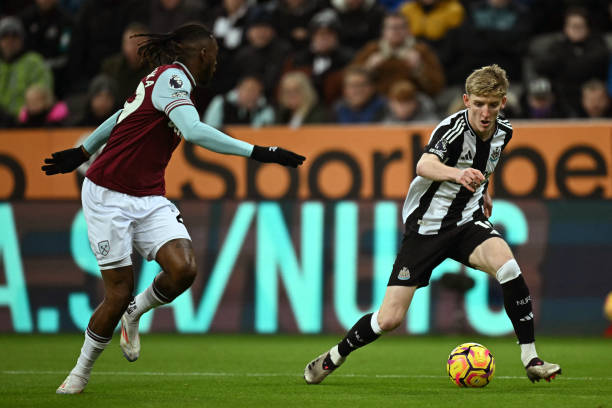 仅是厄德高 仅是厄德高