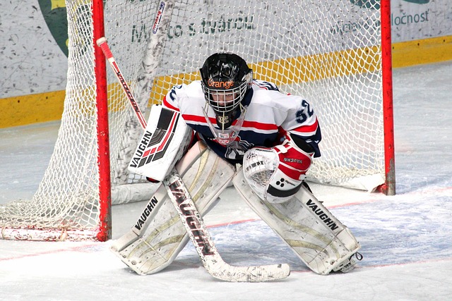 的职业经验 的职业经验