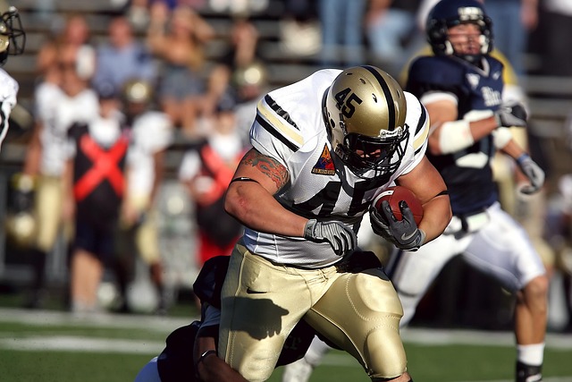 而言可谓物 而言可谓物